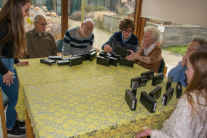 Spelactiviteit met dementerenden - 2de jaar secundair