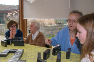 Spelactiviteit met dementerenden - 2de jaar secundair